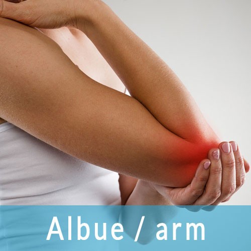 Albue og arm